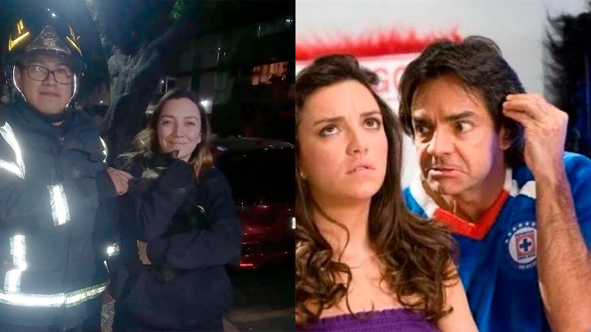 ¿Por qué no eres una dueña normal Bibi? Rescatan bomberos a gatito de Regina Blandón