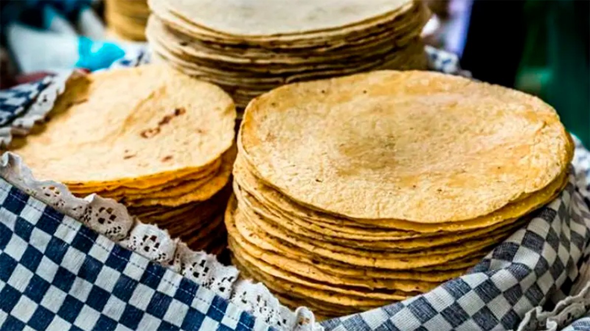 ¿Cuántas tortillas al día son saludables? Esto dice el IMSS