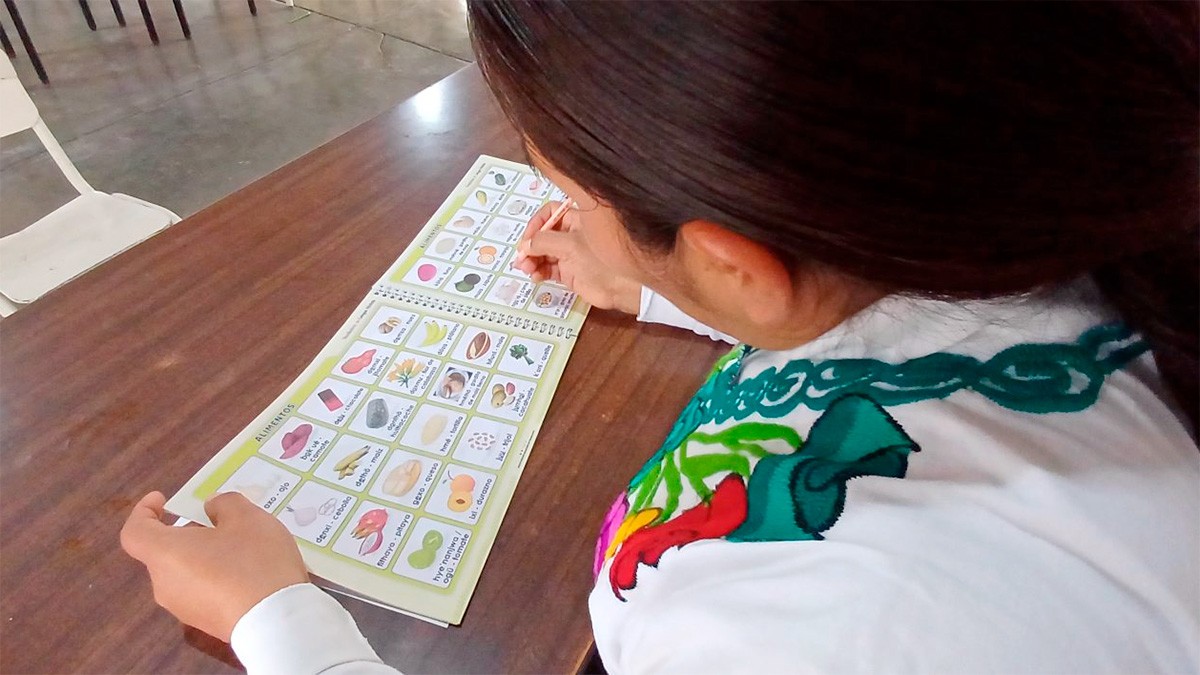 Guanajuato tendrá maestros bilingües para lenguas indígenas, ¿cuáles se enseñarán?