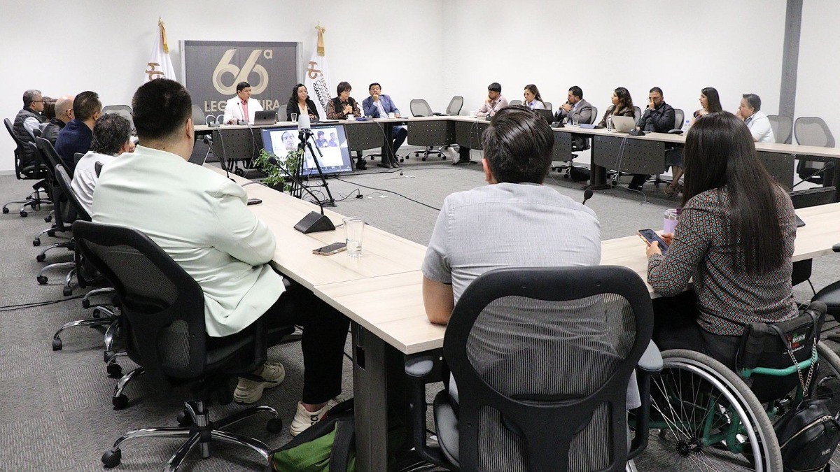 Propuesta de inclusión laboral del 3% para discapacitados genera debate entre diputados