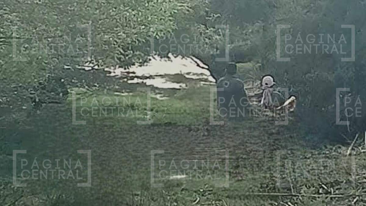 Hallan otra fosa clandestina en Guanajuato, habría varios cuerpos