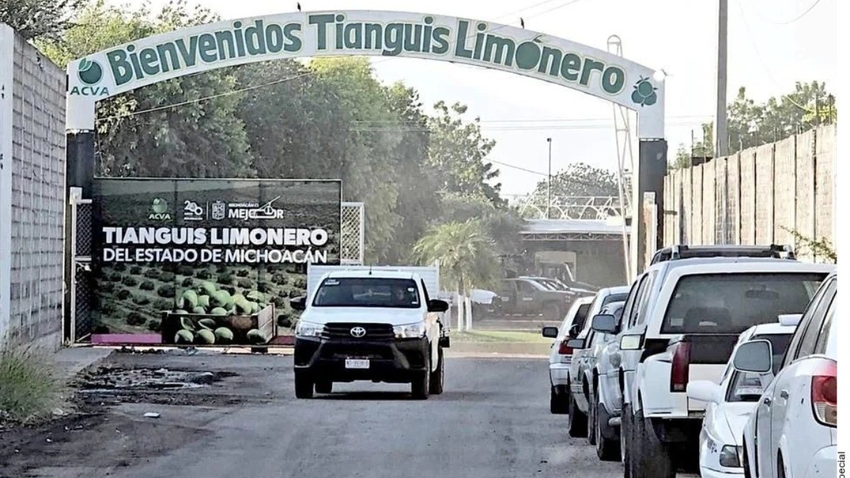Busca el crimen control del limón 