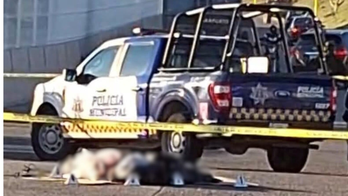 Conductores pasaban frente a empresa cuando vieron extremidades humanas salir de bolsas