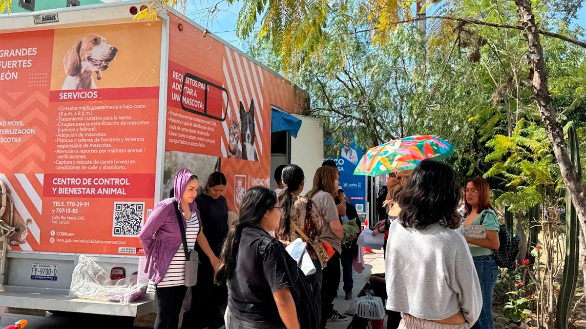 ¿Quieres esterilizar gratis a tu mascota? Te decimos dónde y qué necesitas