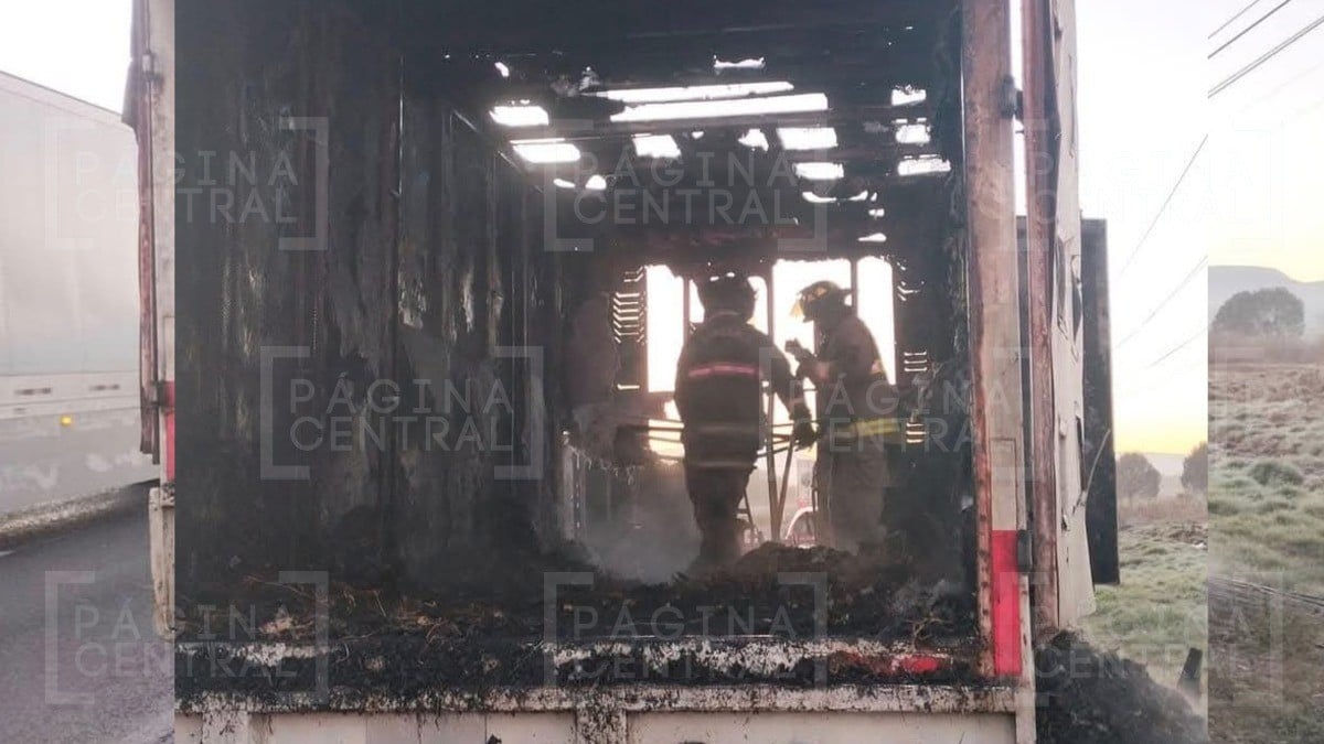 ¡Solo las plumas quedan! Arde camión con cientos de pollos en carretera San José Iturbide