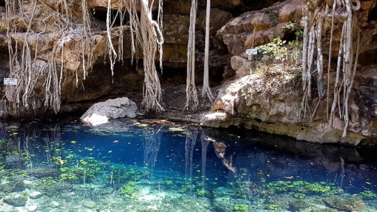 Hallan increíbles restos fósiles de enormes criaturas en cenote de Yucatán