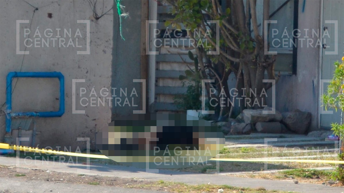 Vecinos escuchan disparos y al salir de sus departamentos encuentran a una mujer muerta