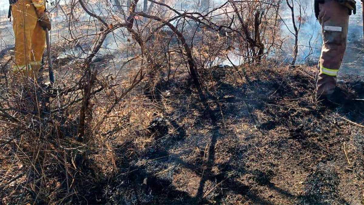 Bomberos acuden a sofocar un incendio de pastizal, pero encuentran un arsenal