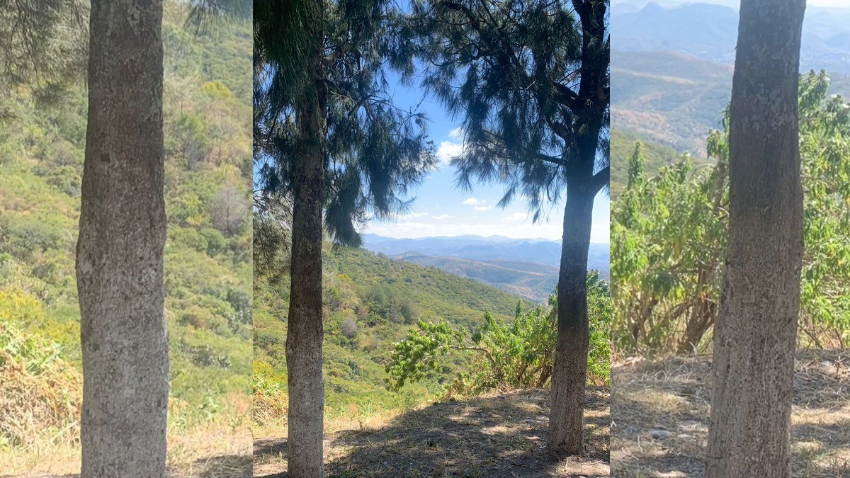 ¡El calor no cede! El clima para León tendrá de nuevo temperaturas altas