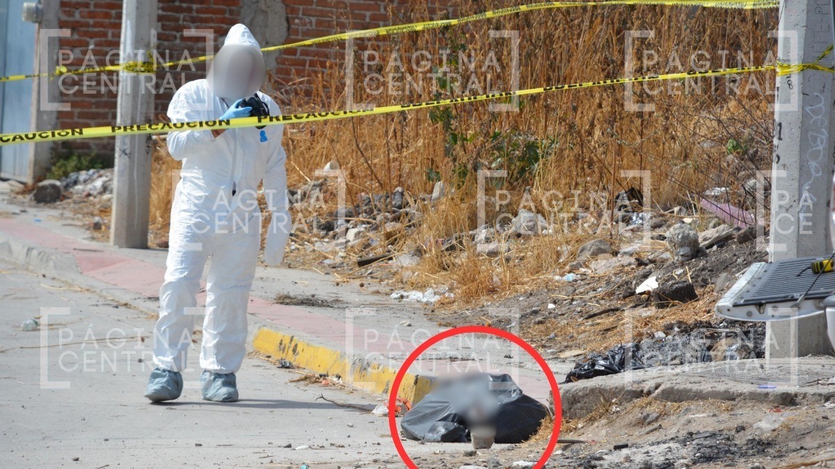 Vecinos vieron piel y manchas en bolsas negras tiradas en la calle y esto encontraron