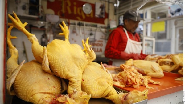 Encarece gripe aviar en EU precio del pollo en México