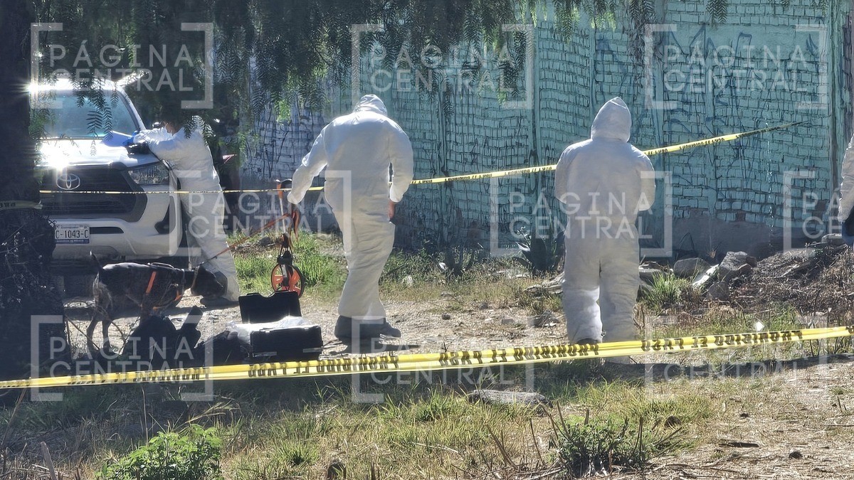Madres buscadoras encuentran restos humanos en Piletas IV ¡a espaldas de una primaria!