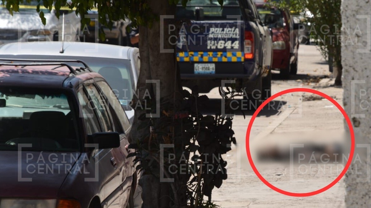 ¡Ataque armado! Hombre que estaba afuera de una casa en Jardines de Jerez fue asesinado