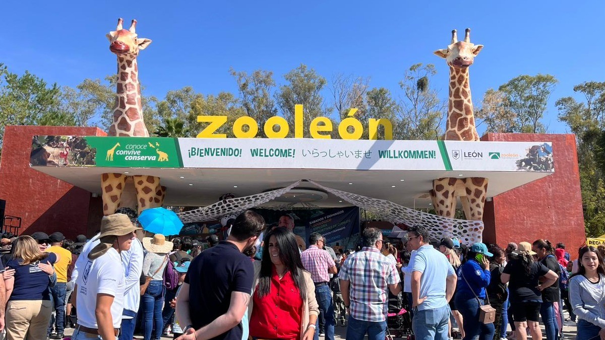 ¡Lo más tierno que verás hoy! Conoce a los nuevos integrantes de la familia del Zoo León