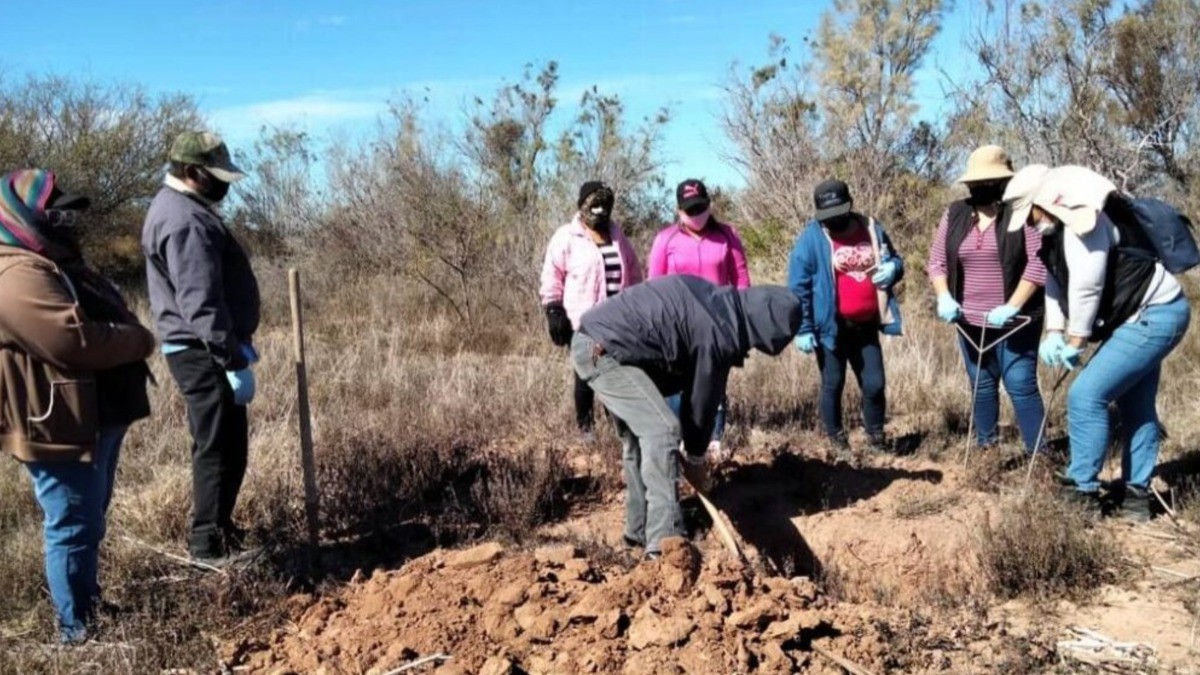 También en Nuevo León han hallado campos de exterminio; ya suman 10