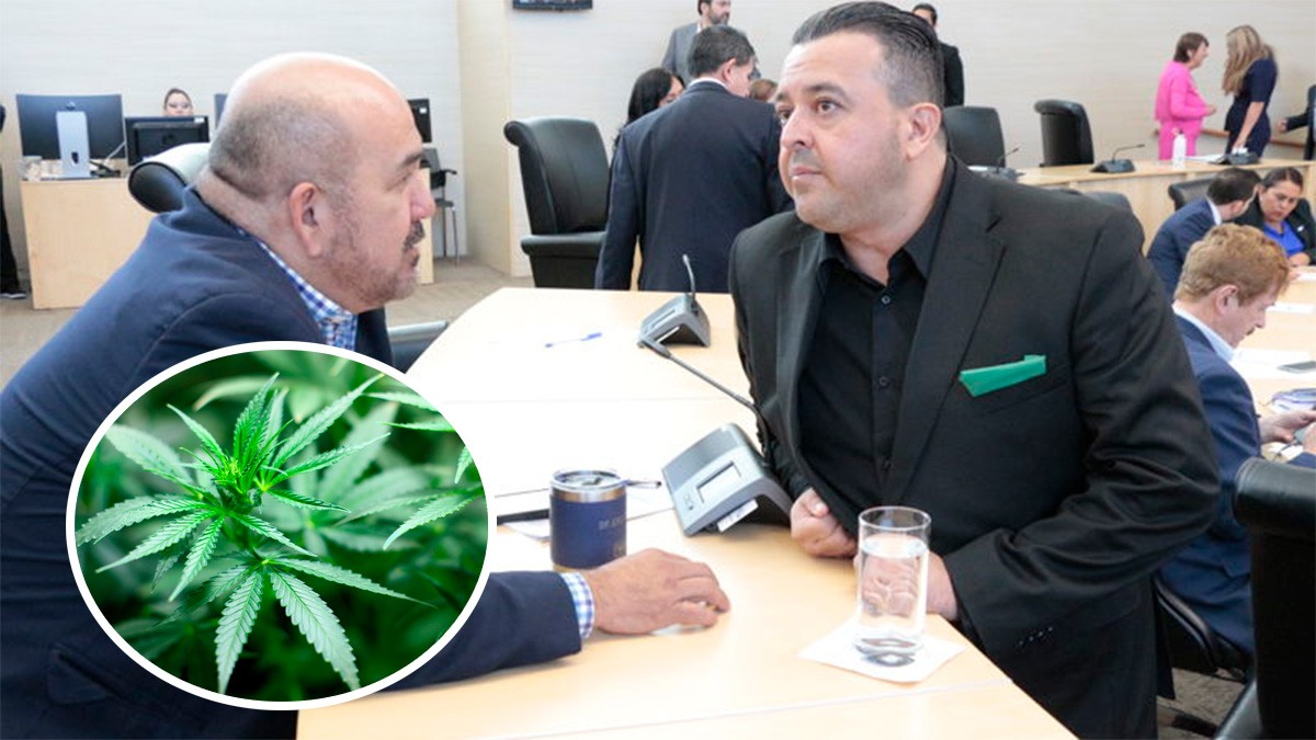 ¿El consumo de marihuana debe ser un derecho en Guanajuato? Esto dice diputado