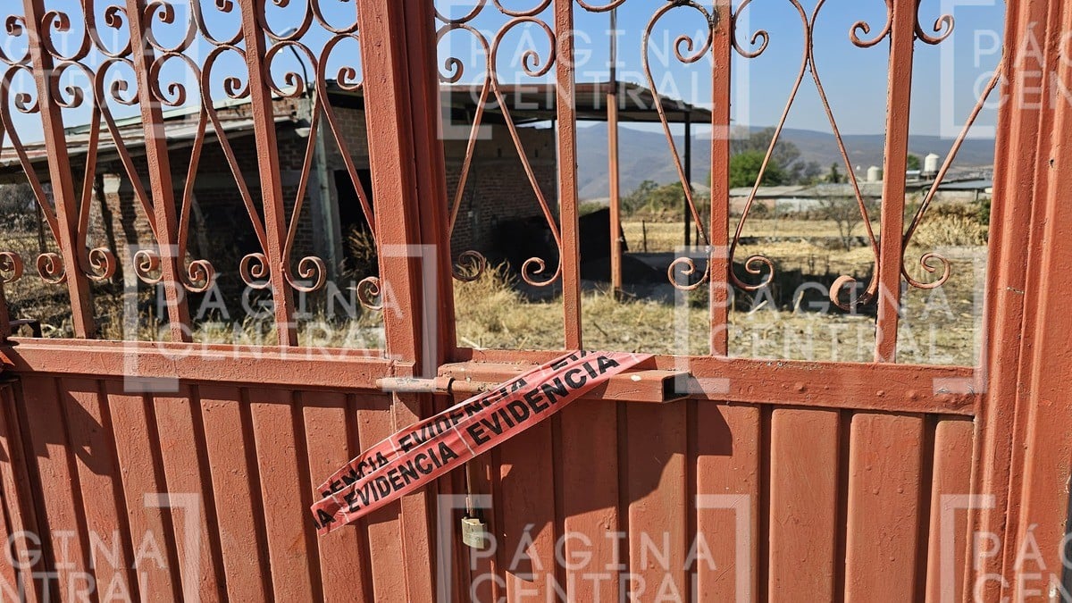 ¿En Guanajuato hay campos de adiestramiento? Esto es lo que sabemos