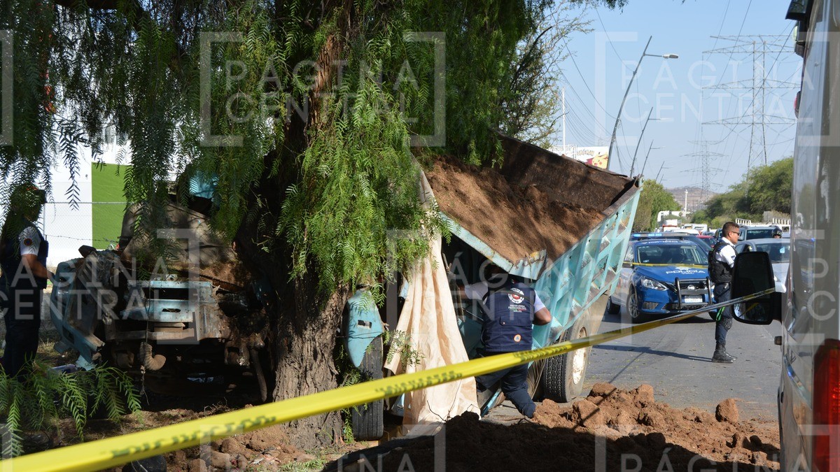 Trailero pierde el control de la unidad y ¡se impacta contra un árbol!