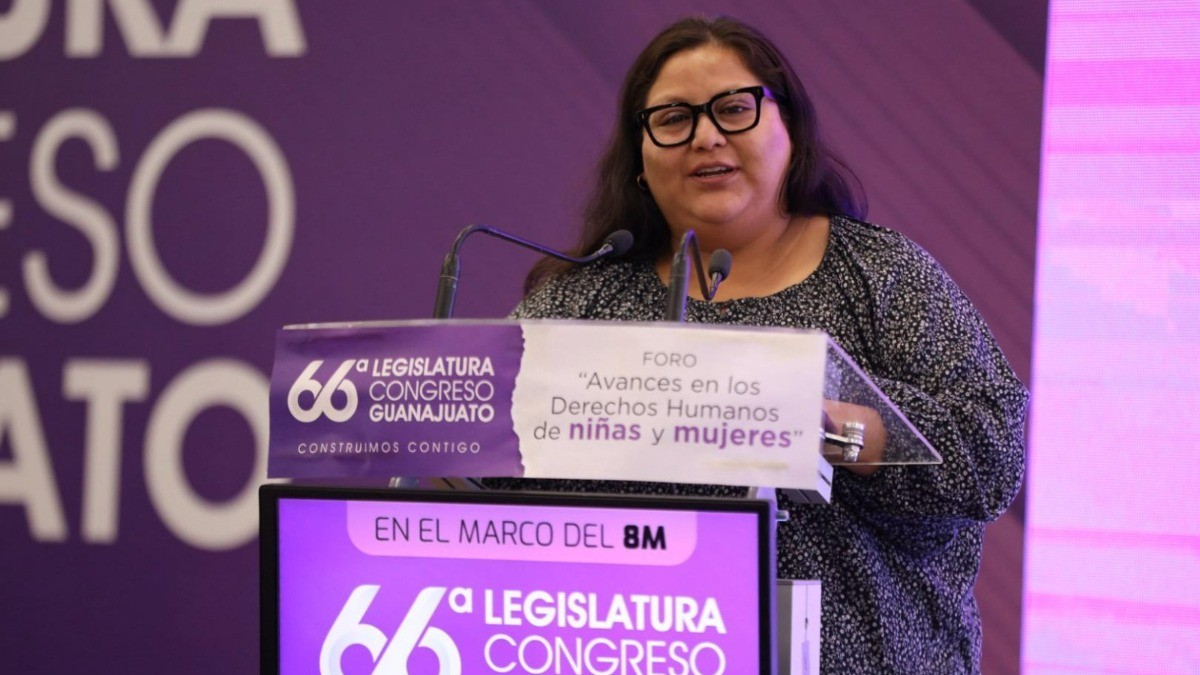 “Implementación de alertas de género no siempre se traducen en avances significativos“