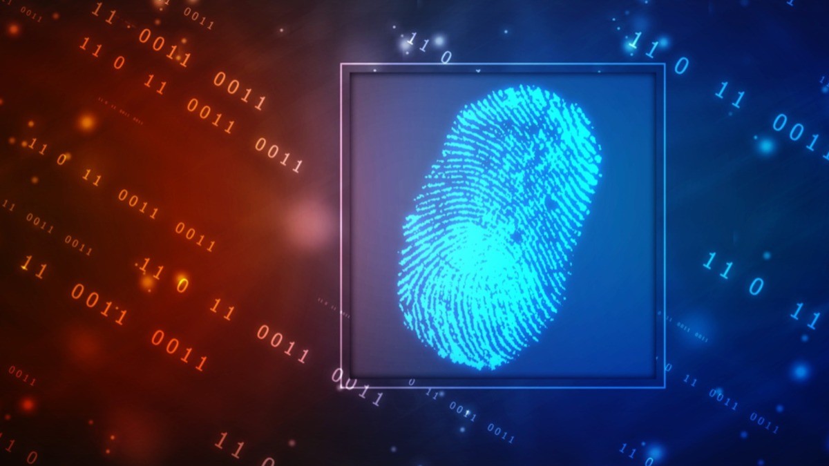 Investigación forense digital, clave para resolver robo millonario en San Felipe