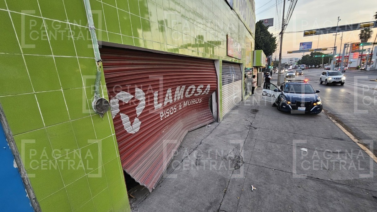 Auto se le atraviesa a camión de ruta X-09, le pega y se va contra la cortina de negocio