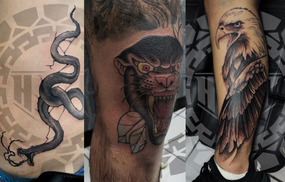 Regulación de tatuajes en Guanajuato: Requisitos y recomendaciones