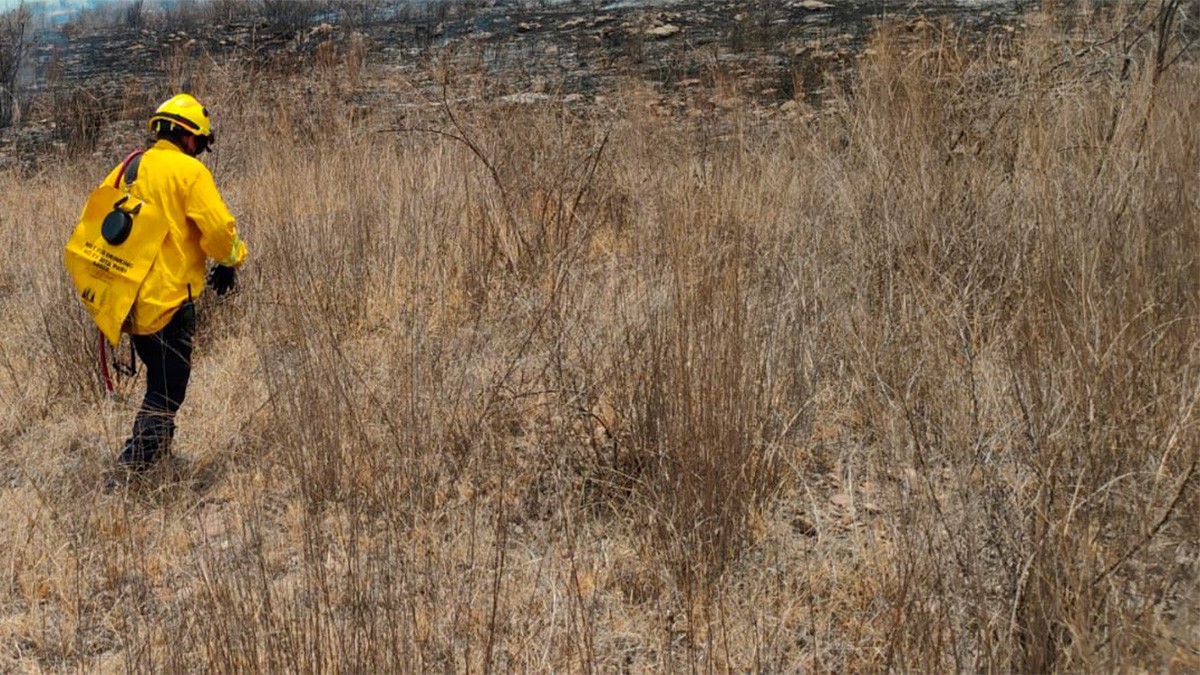 ¿Vives a un lado de un baldío? Esto le pide Protección Civil a los dueños