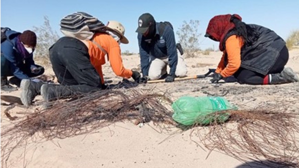 Queda en el papel protocolo de fosas