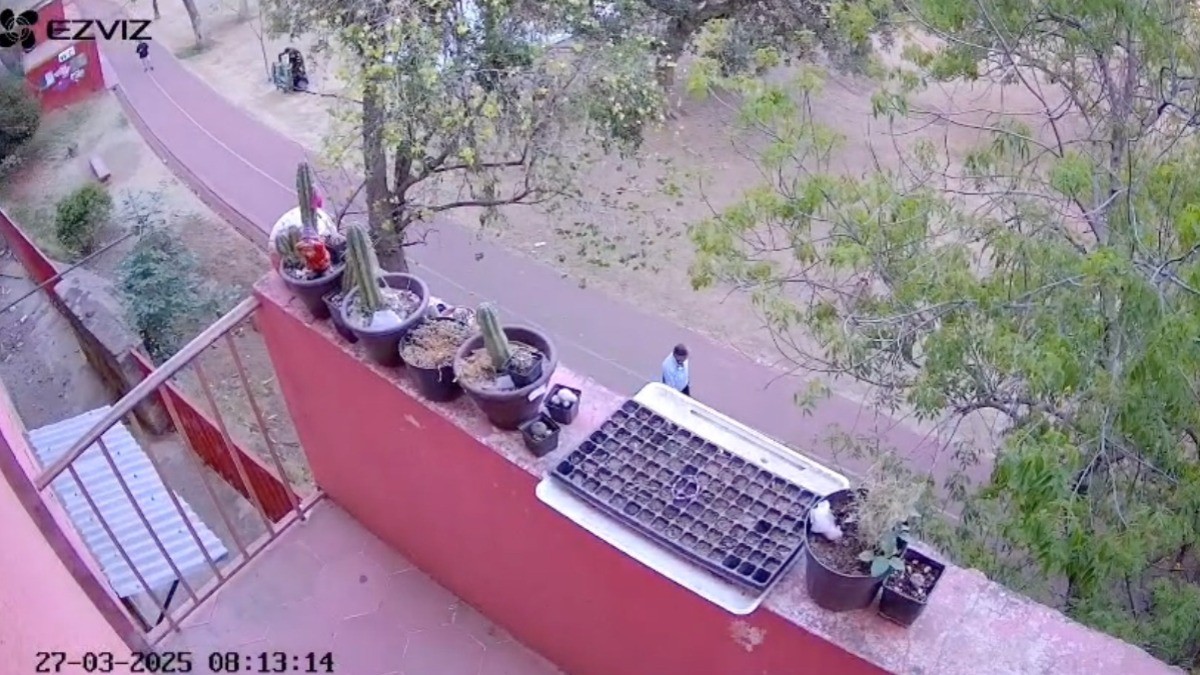 VIDEO Despiden a trabajadores de Servicios Públicos ¡por robo!; fue en este municipio