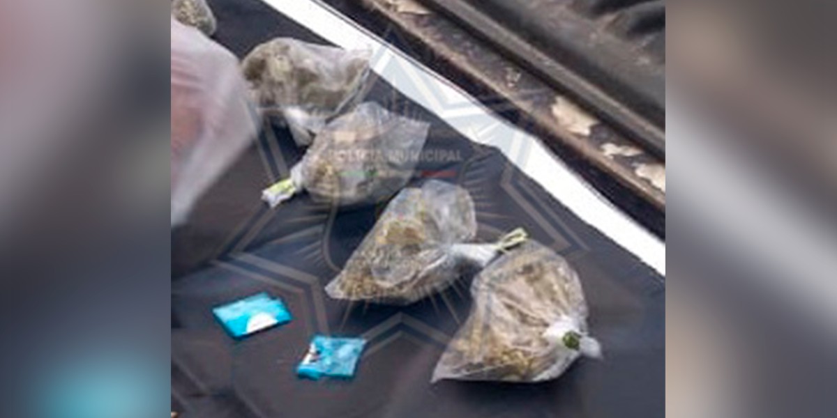 ¡Van con todo! Esta es la cifra histórica de drogas decomisadas en León