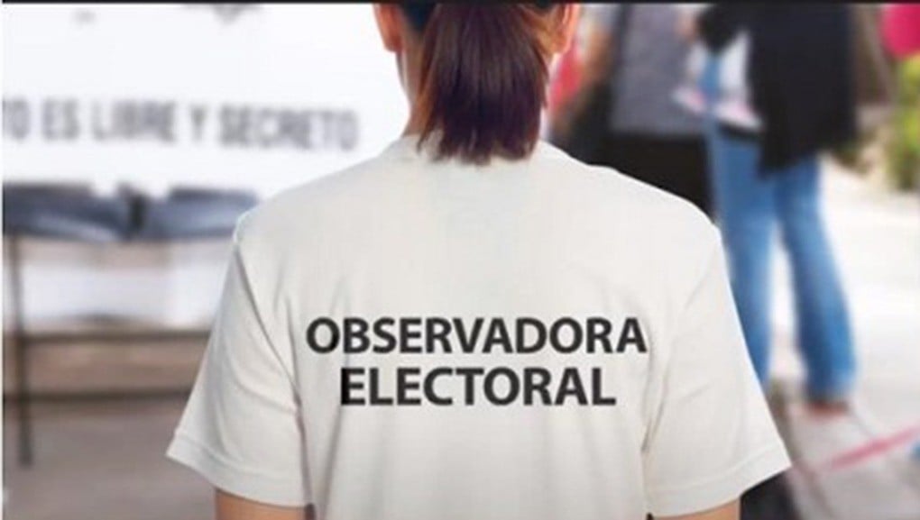¿Quieres ser observador en el proceso electoral de 2025? Estos son los requisitos