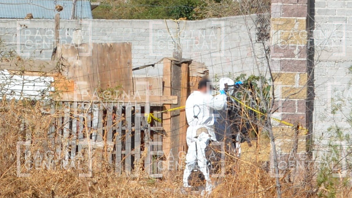 Hallan cadáver con signos de violencia en finca en Las Joyas