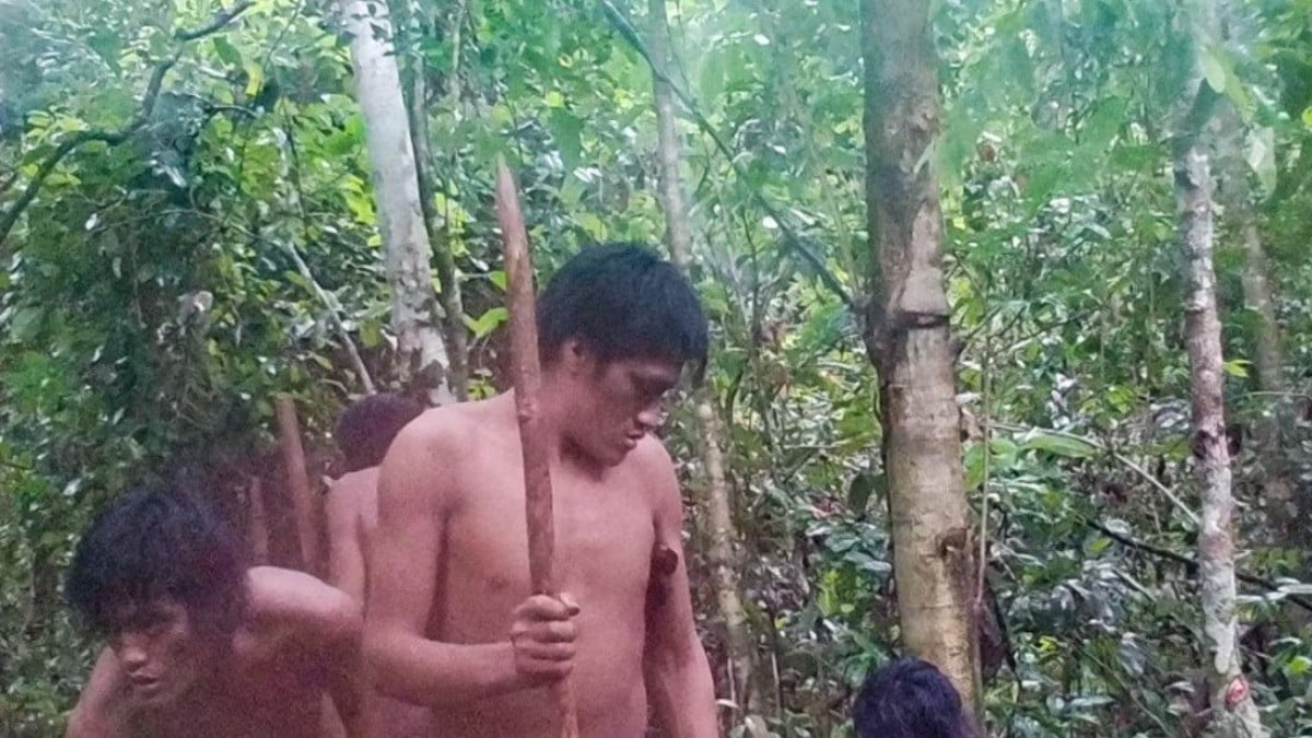 Cámara oculta revela cómo vive una tribu indígena aislada del mundo