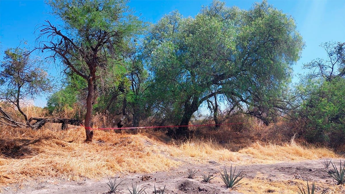 ¡Macabro hallazgo! Descubren el cuerpo de una persona calcinada en unos campos de futbol