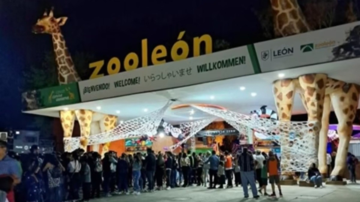 ¿Estás listo para disfrutar del Zoológico de León? Estas son todas las actividades