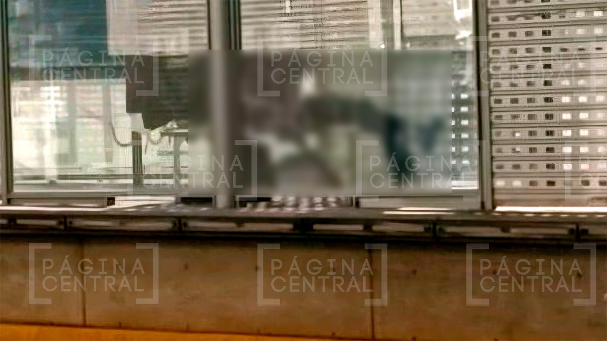 Narciso esperaba la oruga en el paradero, se sintió mal, se desvaneció y murió en una banca