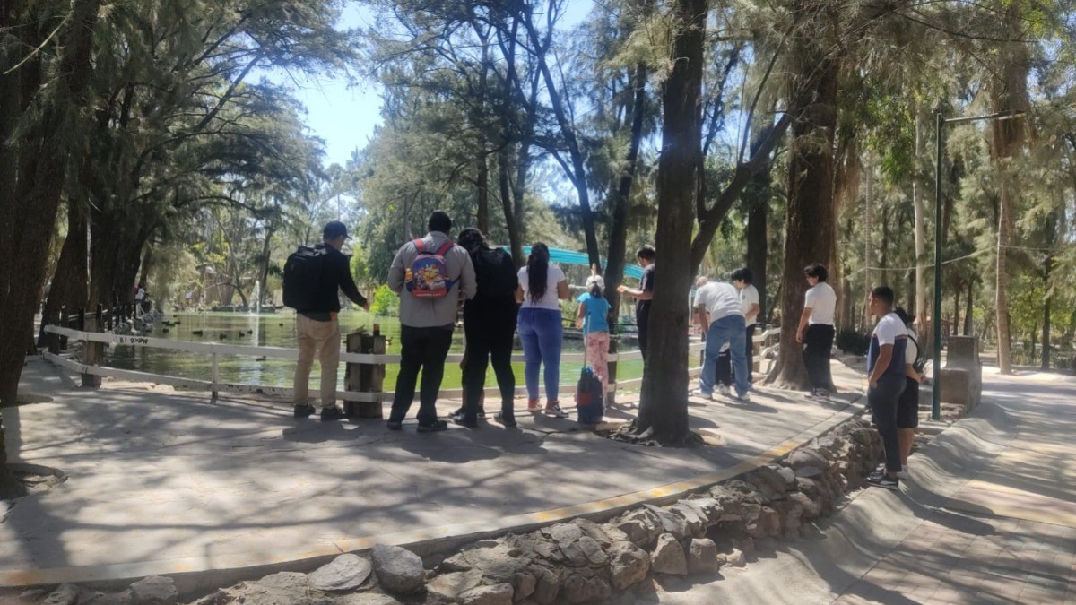 ¡Zoológico de León gratis! Estos días no se cobrará la entrada a las familias