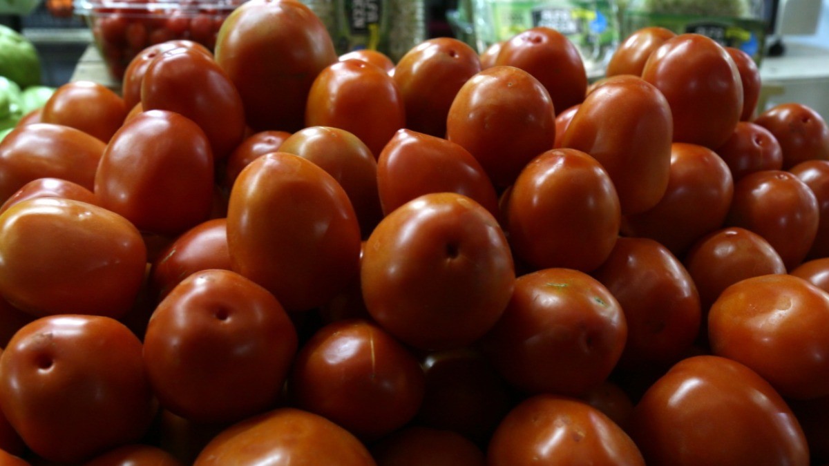 Pondrá EU arancel del 21% al tomate 