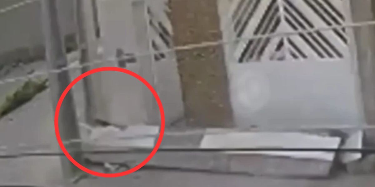 VIDEO Trágica muerte: 'no merecía terminar así', marquesina colapsa y aplasta a mujer