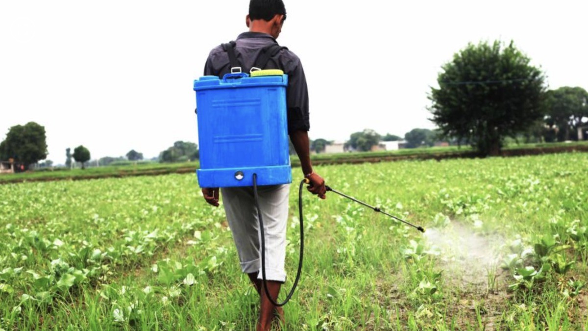 ¿Buscas trabajo legal en Estados Unidos? Así puedes conseguir empleo en el campo