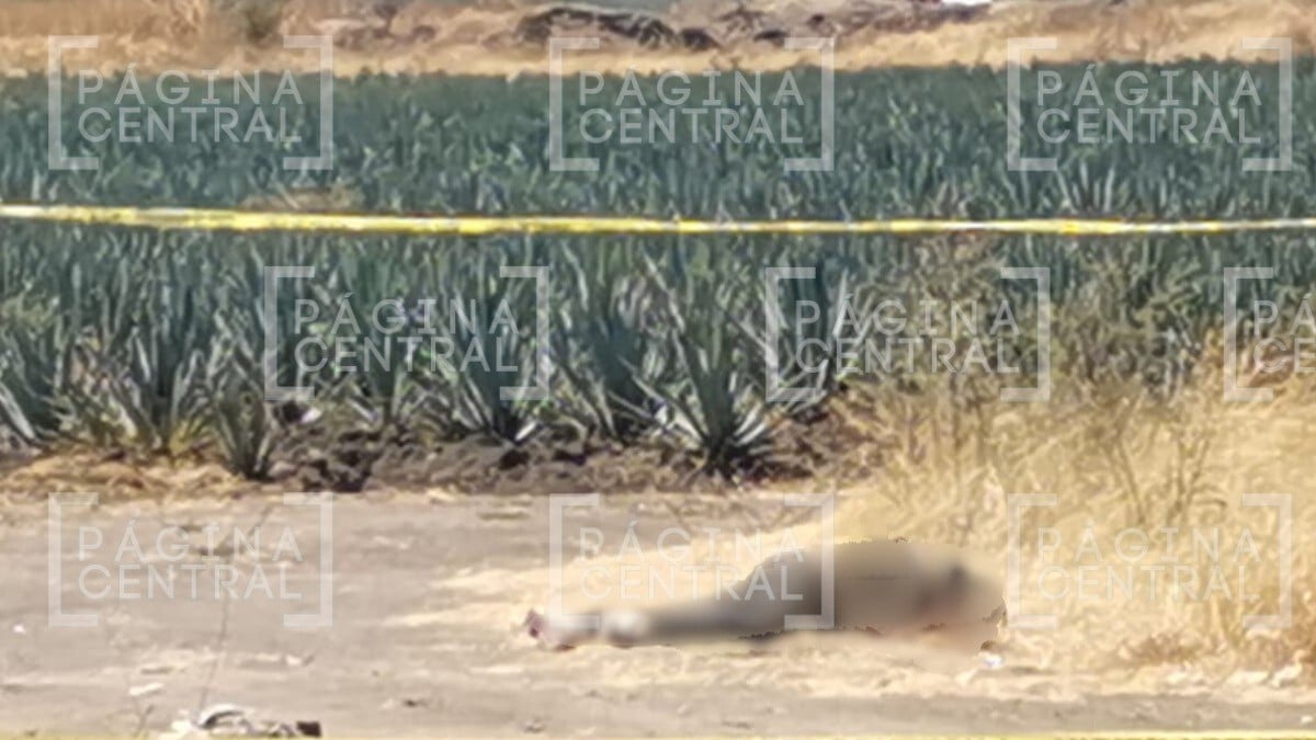 ¡Rumbo al Cerro del Diablo! Vecinos hallan cuerpo de un hombre frente a campo de agave