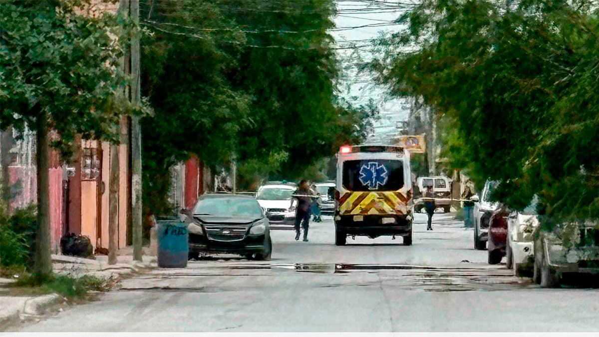 Hombre y perro mueren tras ataque de enjambre de abejas en un terreno baldío