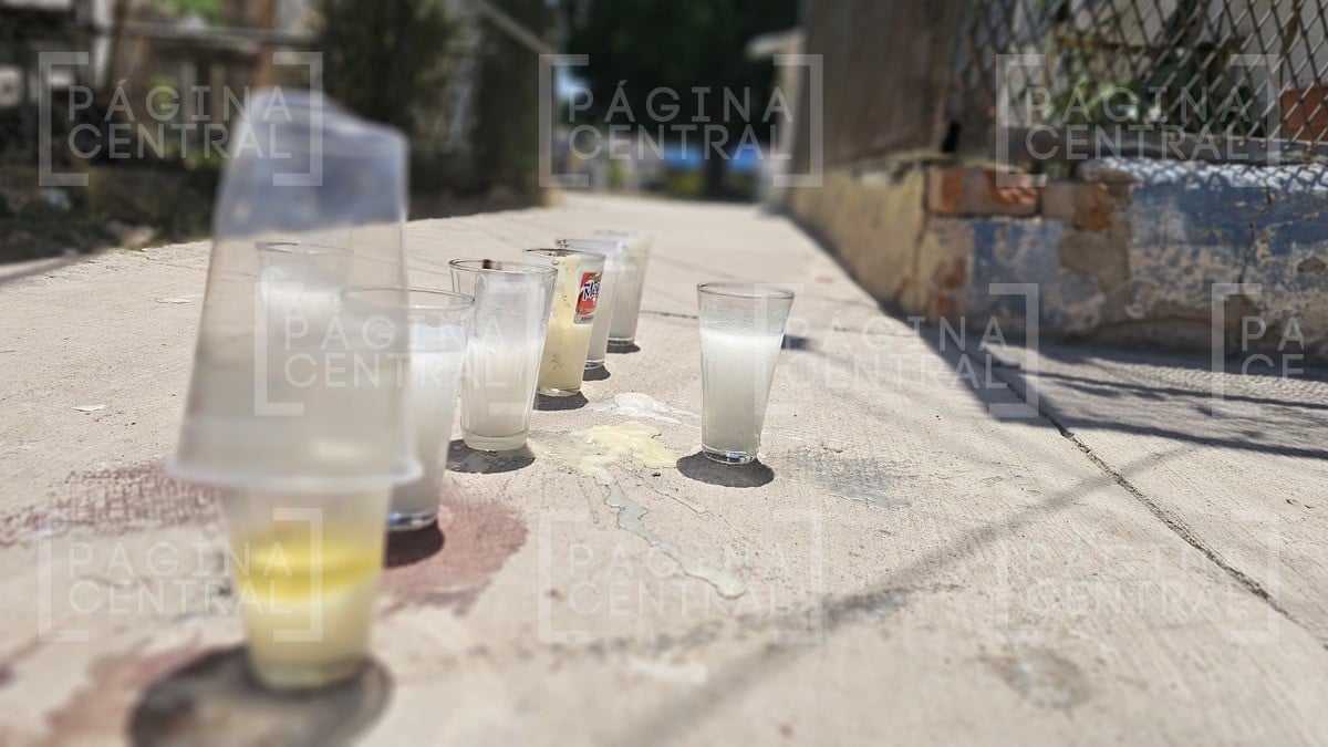 “Ellos mataron a mi mamá y nadie me la va a regresar“, familia denuncia abuso policial