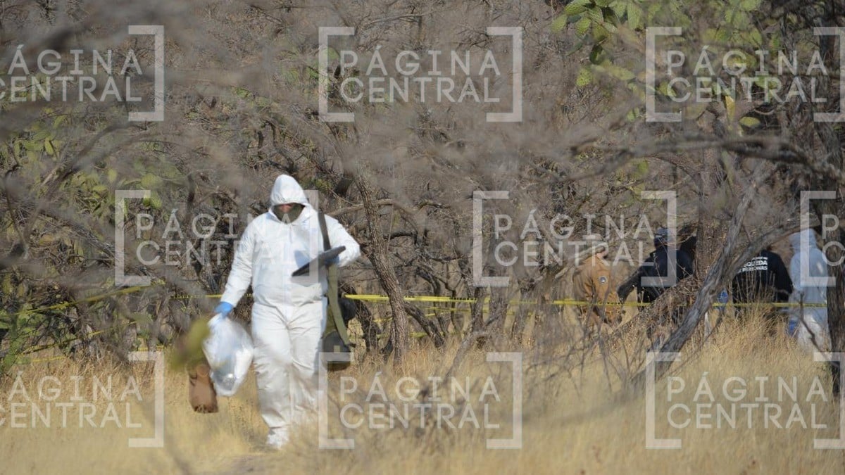 ¡Lugar de atrocidades! Colectivos hallan fosa clandestina en esta zona de León 