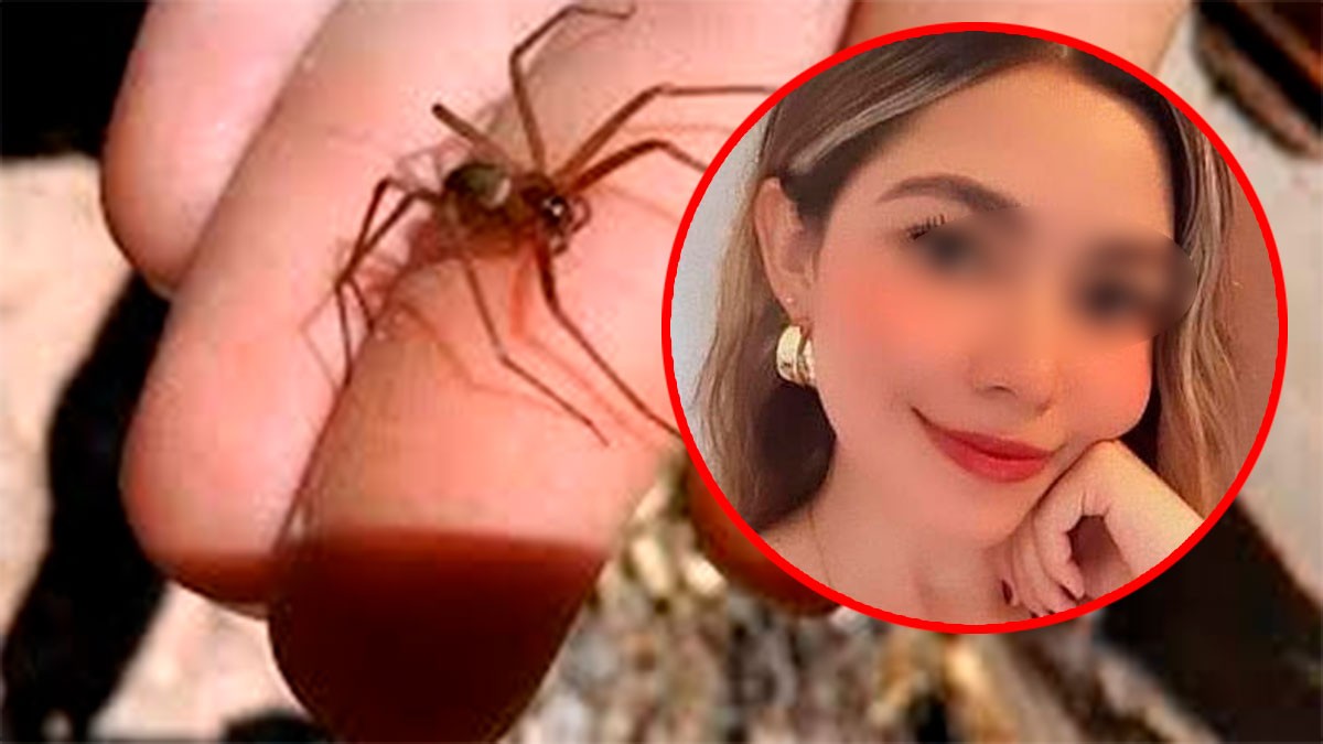 Joven muere por mordedura de araña violinista; familia acusa negligencia en el IMSS