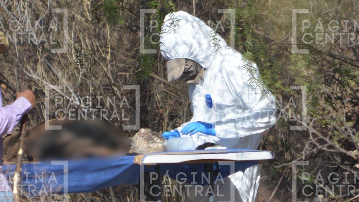 Nuevamente hallan restos humanos en Vista Aero; se habla de más de tres cuerpos