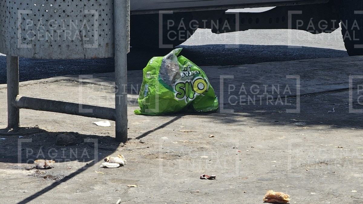 ¡Sin piedad! Meten a feto en bolsa de Totis y lo tiran a la basura en esta calle de León