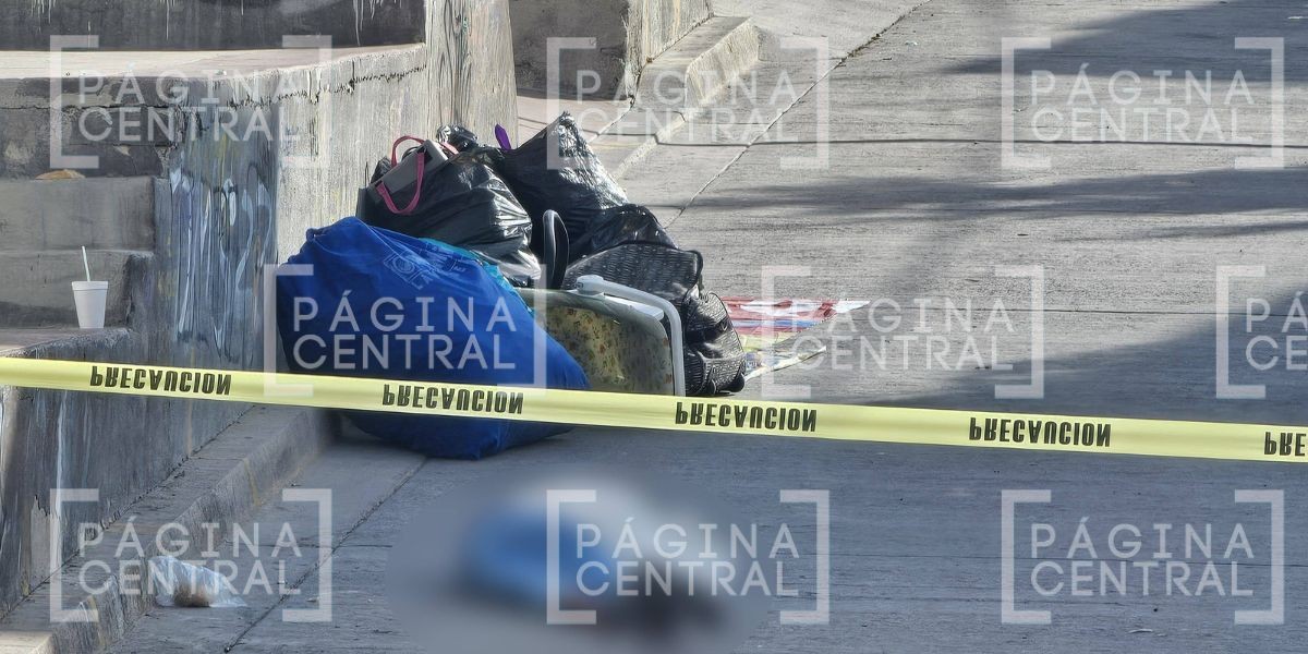 VIDEO Terror en tianguis: Mujer recibe múltiples disparos de sicarios