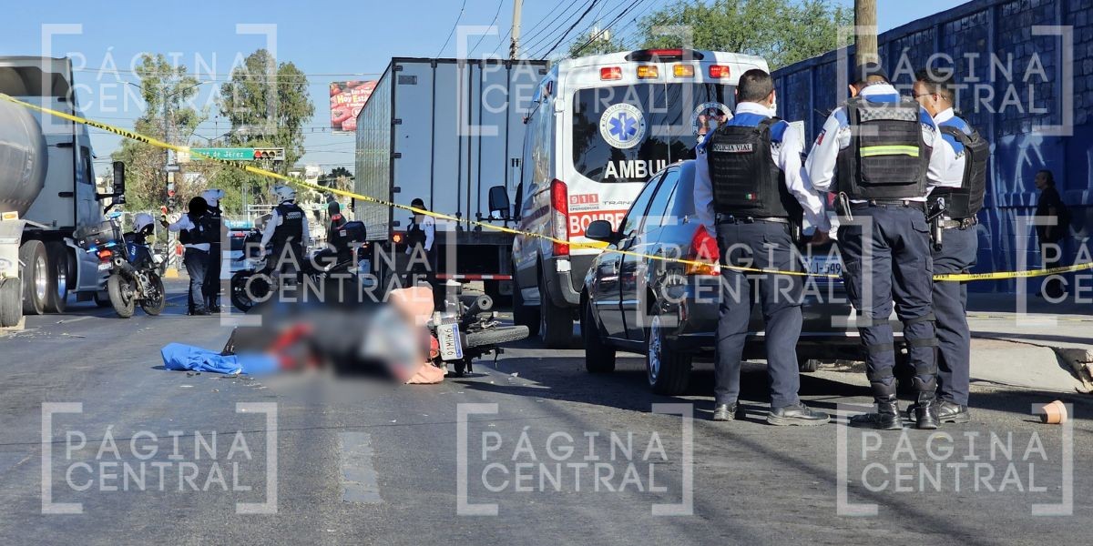 VIDEO Murió cerca de su moto: Motociclista choca auto y tráiler le pasa llantas encima