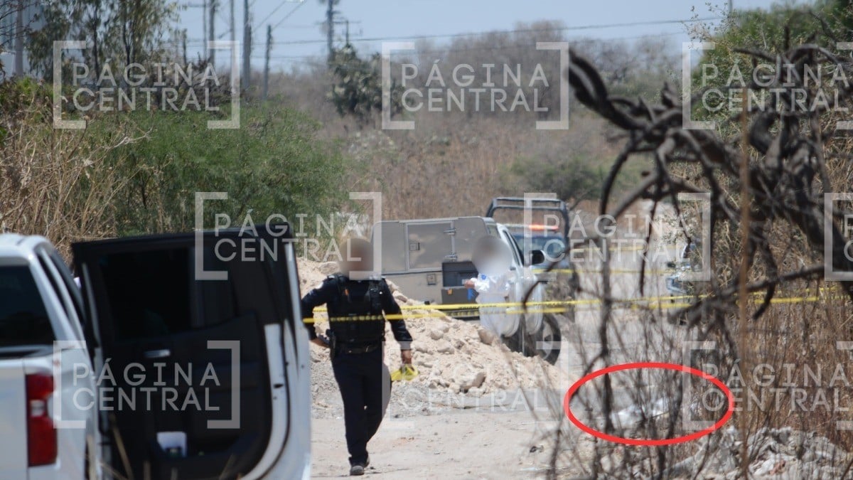 Vecinos caminaban este día cuando encontraron algo que los impactó y llamaron a la Policía